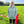 Sage & Stirrup Signature Cross-Neck Hoodie